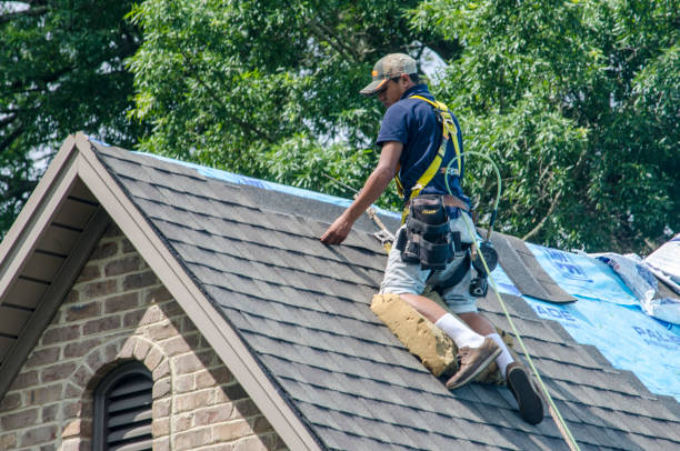 Best Storm Damage Roof Repair  in Jefferson, WI